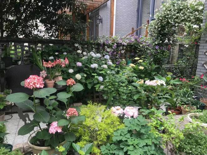 庭院植物施工注意事項